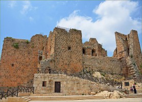 Château d'Ajloun : découvrez un spécimen rare