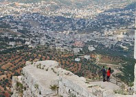 Château d'Ajloun 