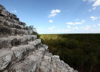 Cobá 