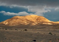 Désert du Néguev 