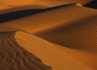 El Pinacate 