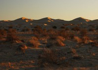 El Pinacate 