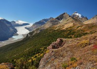 Glacier Athabasca 