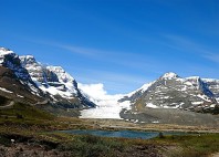 Glacier Athabasca 