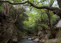 Gorges de Vouraïkos 