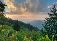 Parc national des Great Smoky Mountains 