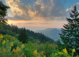 Parc national des Great Smoky Mountains : le plus visité au monde