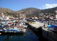 Hydra 