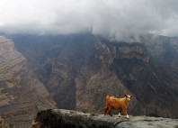 Jebel Shams 
