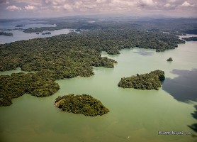 Lac Gatún : découvrez ce joyau de Panama