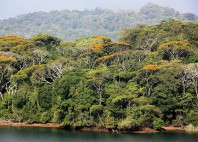 Lac Gatún 