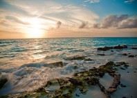 Papahanaumokuakea 