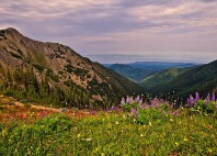 Parc national Olympique 