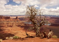 Parc national de Canyonlands 