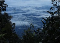 Parc national de Darién 
