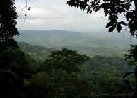 Parc national de Darién 