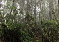 Parc national de Darién 