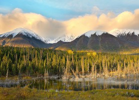 Parc national de Kluane : une impressionnante réserve
