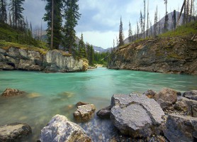 Parc national de Kootenay : le jardin des rêves