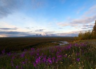 Parc national de Wrangell - Saint-Élie 
