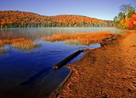 Parc provincial Algonquin 