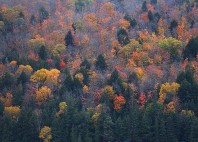 Parc provincial Algonquin 