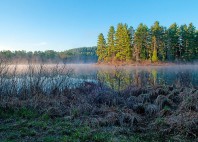 Parc provincial Algonquin 