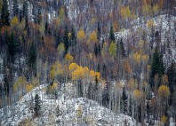 Parc provincial Wells Gray 