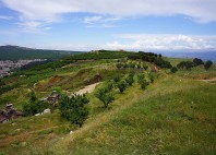 Plateau du Golan 