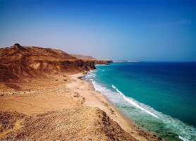 Ras al-Jinz : le plus grand site de protection des tortues de mer