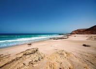 Ras al-Jinz 