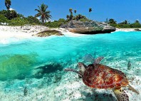 Riviera Maya 