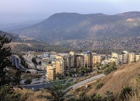 Safed 