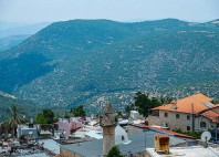 Safed 