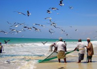 Salalah 