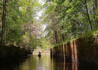 Savannah 