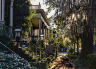 Savannah 