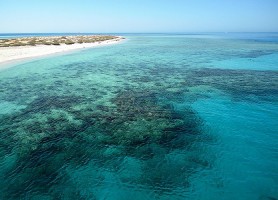 Sharm El Lulli : une escale au panthéon marin