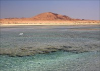 Sharm El Lulli 
