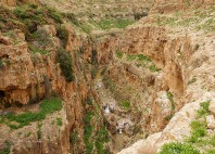 Wadi Qelt 