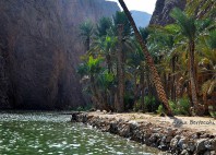 Wadi Shab 