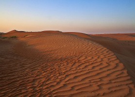 Wahiba Sands : la magie du désert à Oman