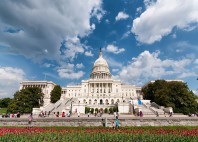 Washington DC 