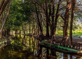 Xochimilco : un paradis du Mexique