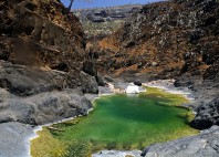 Île de Socotra 