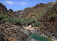 Île de Socotra 