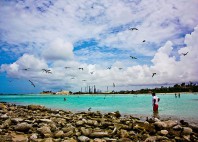 Aruba 