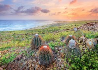 Aruba 