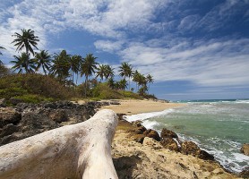Cabarete : découvrez cette merveille cachée