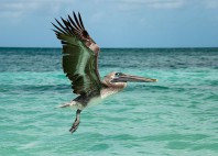 Cayo Blanco 